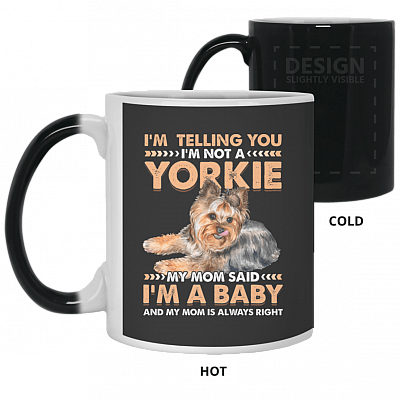 11 oz. Color Changing Mug