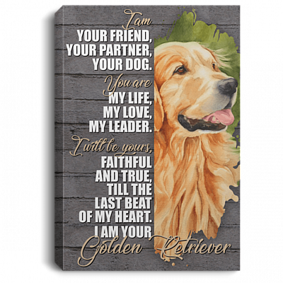 Golden Retriever I'm Your Friend Your Partner Your Dog Lovers Framed Canvas - Unframed Poster