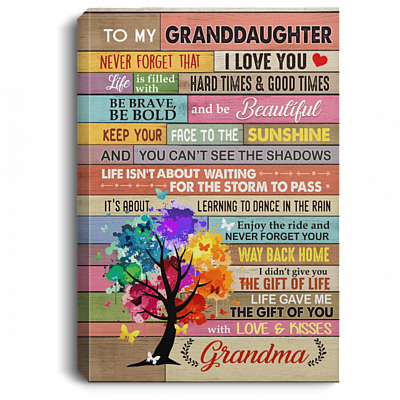 To My Granddaughter Never Forget That I Love You Gallery Wrapped Framed Canvas Prints - Unframed Poster