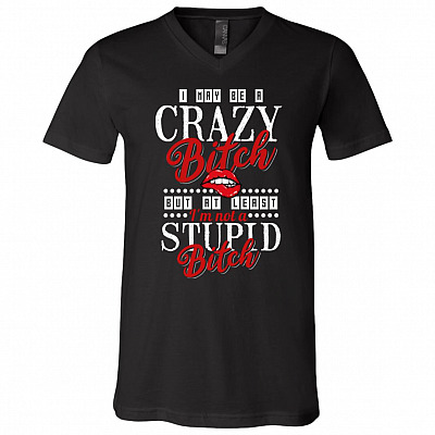 I Maybe A Crazy Bitch But At Least I'm Not A Stupid Bitch Funny T-Shirt - V-Neck Tee