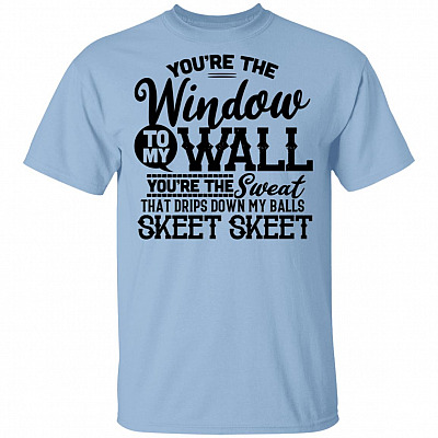 You're The Window To My Wall You're The Sweat That Drips Down My Balls T-Shirt