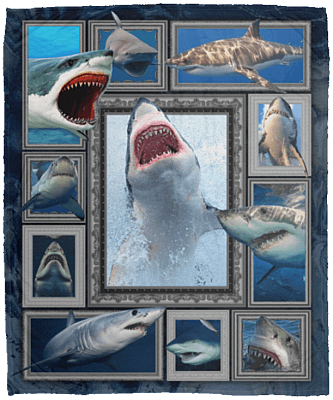 3D Shark Ocean Fleece Blanket - Shark Lover Gift Premium Sherpa Blanket - Woven Blanket