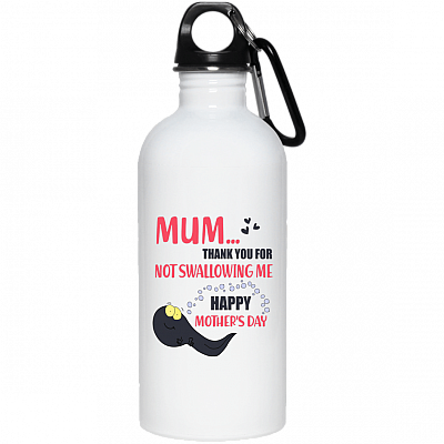 20 oz. Stainless Water Bottle