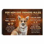 For Non-Dog Owners Rules For Who Visit And Like To Complain My Corgi Dogs Framed Canvas Prints - Unframed Poster