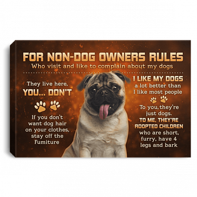 For Non-Dog Owners Rules For Who Visit And Like To Complain My Pug Dogs Framed Canvas Prints - Unframed Poster