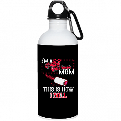 20 oz. Stainless Water Bottle