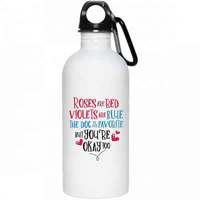20 oz. Stainless Water Bottle