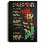 CubeBik A Few Facts About Me Vietnam Wall Gallery Wrapped Framed Canvas Prints - Unframed Poster