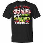 CubeBik I Never Dreamed I'd Be This Crazy Grandma with the Cutest Grandkids Ever T-Shirt