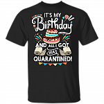 It's My Birthday And All I Got Was Quarantined T-Shirt - Birthday Gifts 2020 Shirt, Black, Unisex T-Shirt