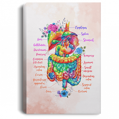 Digestive System Anatomy Floral Gallery Wrapped Framed Canvas Prints - Unframed Poster - Home Decor Wall Art