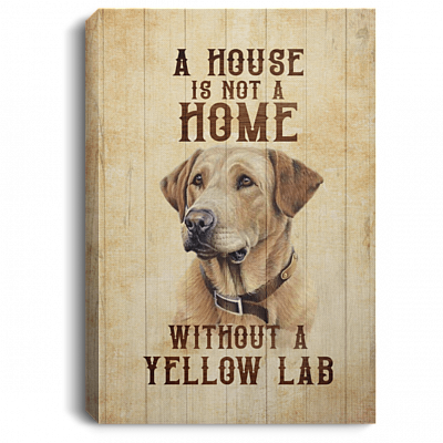 A House Is Not a Home Without a Yellow Lab Labrador Gallery Wrapped Framed Canvas Prints - Unframed Poster