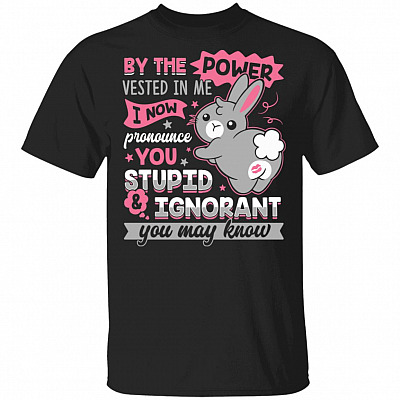 By The Power Vested In Me I Now Pronounce You Stupid And Ignorant T-Shirt