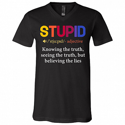 Stupid Is Knowing The Truth Seeing The Truth But Still Believing The Lies T-Shirt - V-Neck Tee, Black, V-Neck T-Shirt