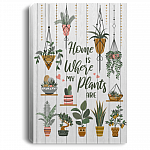 Home Is Where My Plants Are Framed Canvas - Plant Lover Gift Unframed Poster, White, 0.75'' Framed Canvas