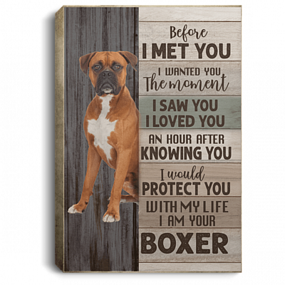 Before I Met You I Wanted You the Moment I Am Your Boxer Gallery Wrapped Framed Canvas - Unframed Poster, White, 0.75'' Framed Canvas