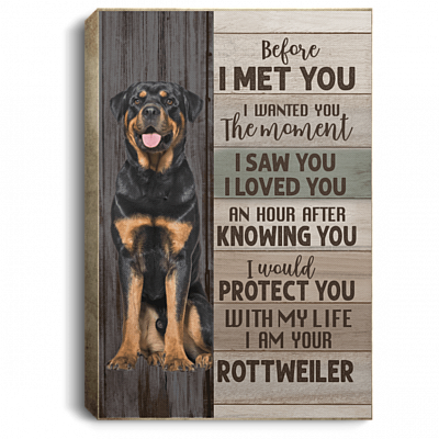 Before I Met You I Wanted You the Moment I Am Your Rottweiler Gallery Wrapped Framed Canvas - Unframed Poster, White, 0.75'' Framed Canvas