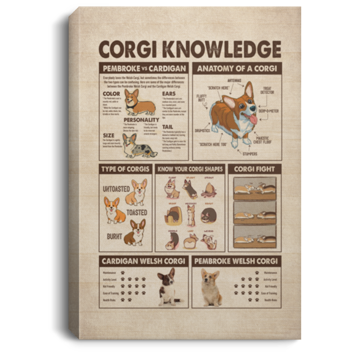 Corgi Knowledge Anatomy Framed Canvas Print - Unframed Poster - Corgi Lovers Canvas, White, 0.75'' Framed Canvas