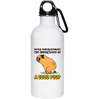 20 oz. Stainless Water Bottle