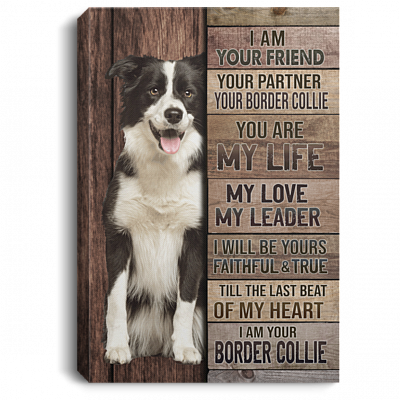 I Am Your Friend Your Partner Your Border Collie Gallery Wrapped Framed Canvas Prints - Unframed Poster, White, 0.75'' Framed Canvas