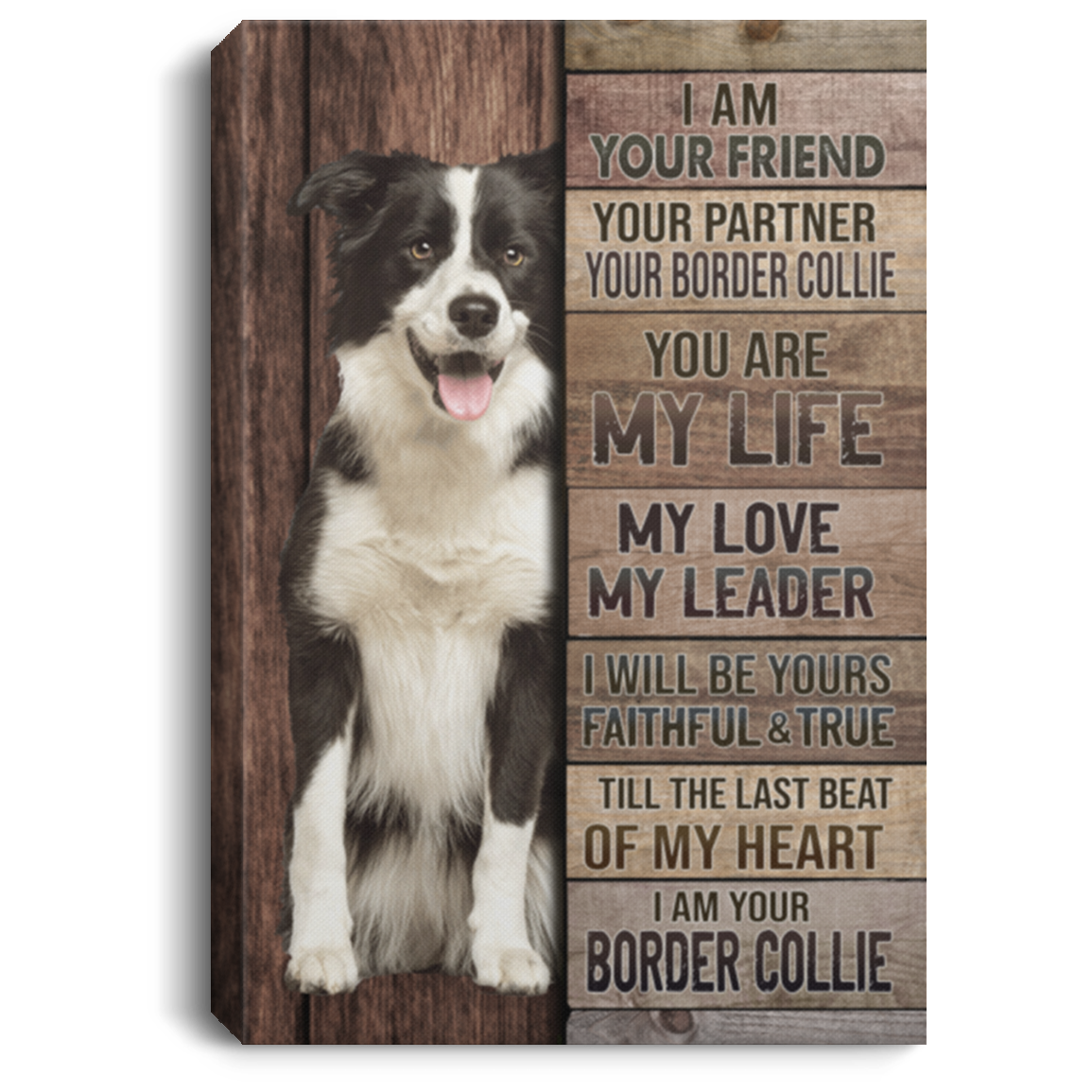 I Am Your Friend Your Partner Your Border Collie Gallery Wrapped Framed Canvas Prints - Unframed Poster, White, 0.75'' Framed Canvas