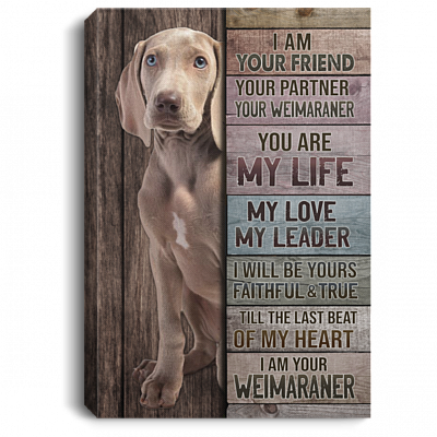 I Am Your Friend Your Partner Your Weimaraner Gallery Wrapped Framed Canvas Prints - Unframed Poster, White, 0.75'' Framed Canvas