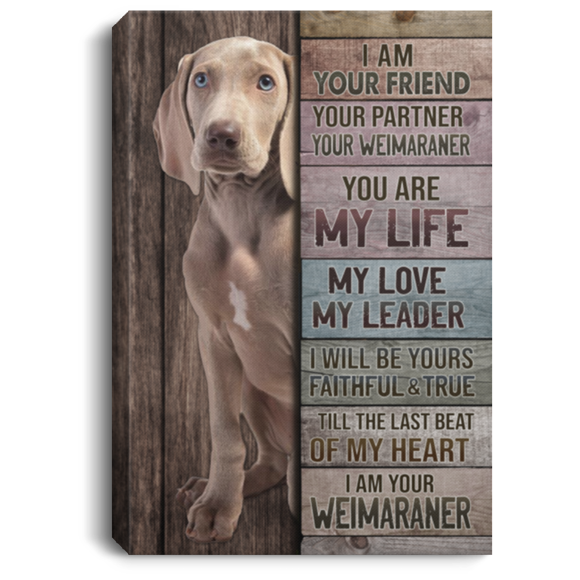 I Am Your Friend Your Partner Your Weimaraner Gallery Wrapped Framed Canvas Prints - Unframed Poster, White, 0.75'' Framed Canvas