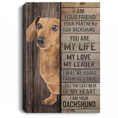 I Am Your Friend Your Partner Your Dachshund Gallery Wrapped Framed Canvas Prints - Unframed Poster, White, 0.75'' Framed Canvas