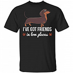Ive Got Friends In Low Places T-Shirt - Funny Dachshund Shirt, Black, Unisex T-Shirt