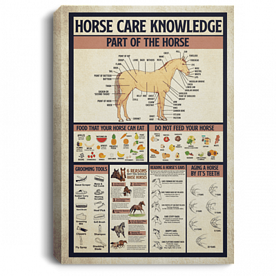 Horse Care Knowledge Framed Canvas - Unframed Poster - Love Horse Wall Art, White, 0.75'' Framed Canvas