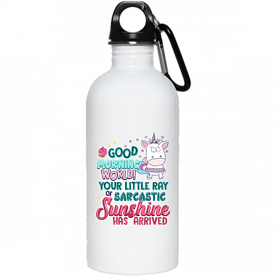 20 oz. Stainless Water Bottle