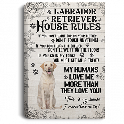 Labrador Retriever House Rules If You Don't Want Fur Don't Touch Anything Framed Canvas - Unframed Poster, White, 0.75'' Framed Canvas