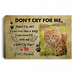 Personalized Don't Cry For Me Mom I'm Ok I Can Run Like A Kitty Tabby Cat Framed Canvas Prints - Unframed Poster, White, 0.75'' Framed Canvas