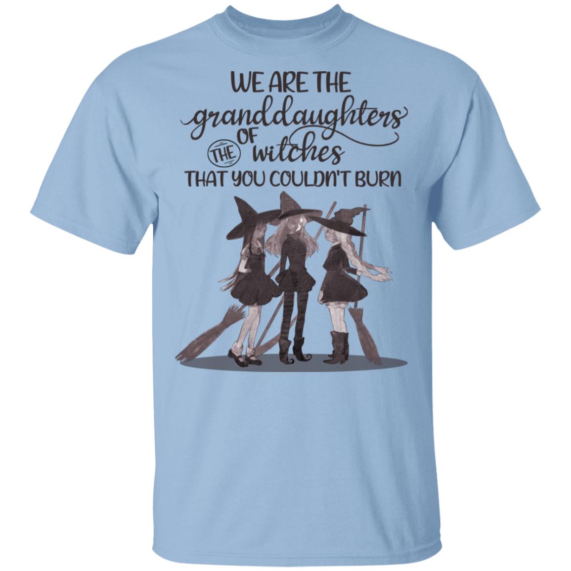 We Are The Grandaughters Of The Witches That You Couldnt Burn T-Shirt - Funny Witches Shirt, Light Blue, Unisex T-Shirt