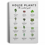 House Plants The Essential Guide Gallery Wrapped Framed Canvas Prints – Plant Lover Gift Unframed Poster, White, 0.75'' Framed Canvas