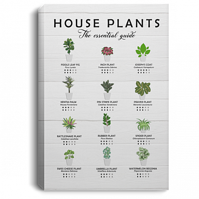 House Plants The Essential Guide Gallery Wrapped Framed Canvas Prints – Plant Lover Gift Unframed Poster, White, 0.75'' Framed Canvas