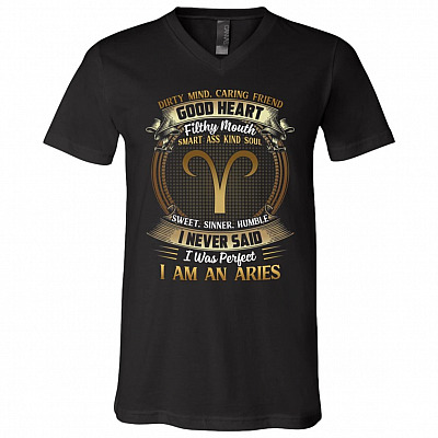 Aries Dirty Mind Caring Friend Good Heart Filthy Mouth I Never Said I'm Perfect Zodiac T-Shirt - V Neck, Black, V-Neck T-Shirt