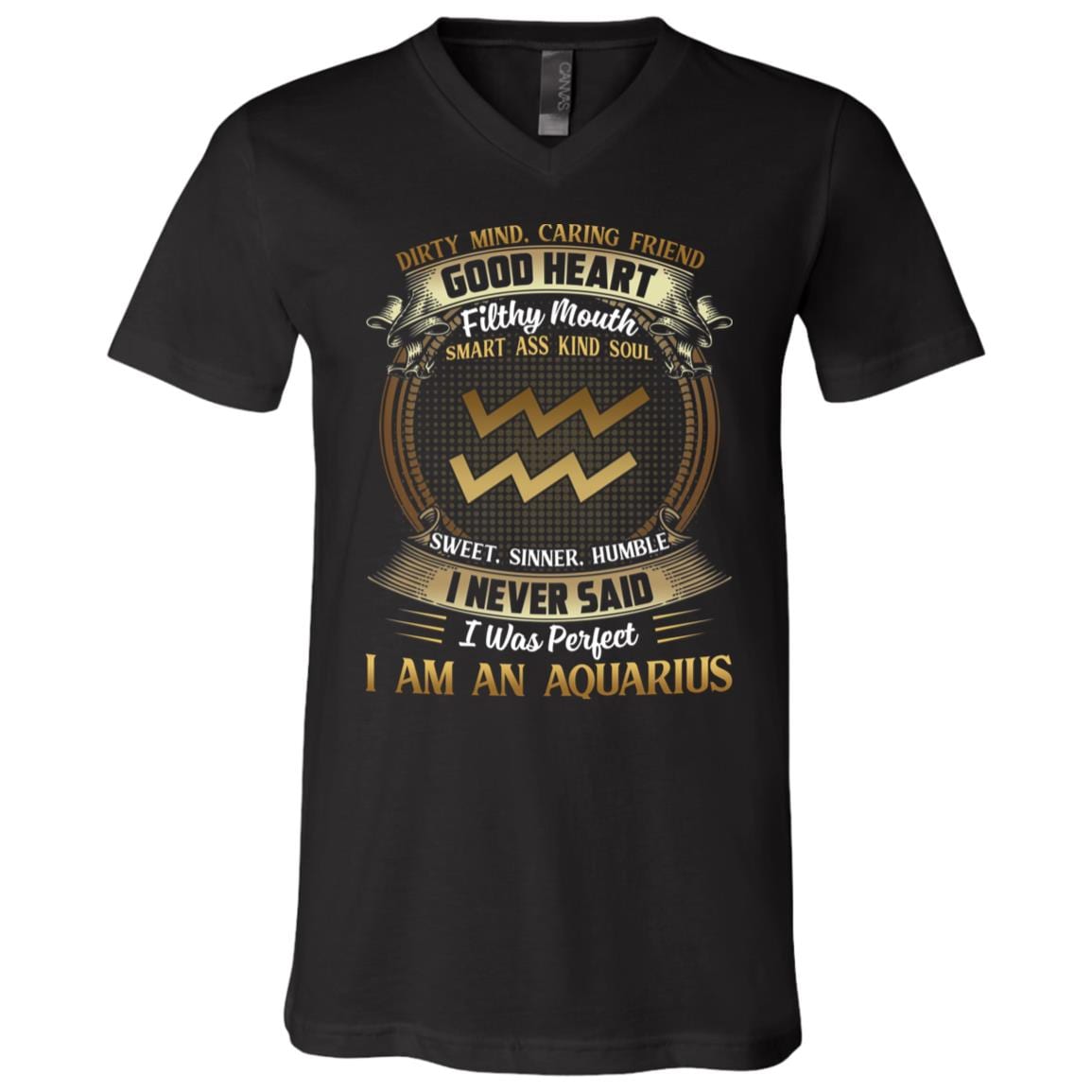 Aquarius Dirty Mind Caring Friend Good Heart Filthy Mouth I Never Said I'm Perfect Zodiac T-Shirt - V Neck, Black, V-Neck T-Shirt