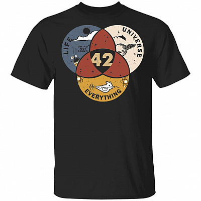 42 The Answer To Life Universe And Everything T-Shirt, Black, Unisex T-Shirt