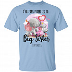 Personalized I Am Being Promoted To Big Sister Youth Tee, Light Blue, Youth T-Shirt