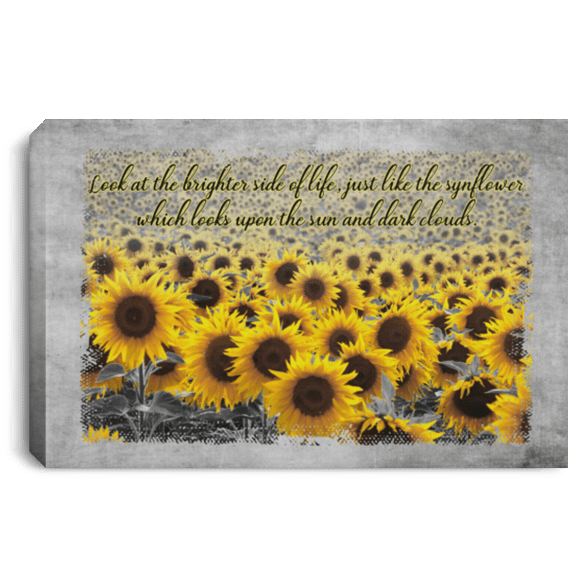 Look At The Brighter Side Of Life Just Like The Sunflower Framed Canvas - Unframed Poster, White, 0.75'' Framed Canvas