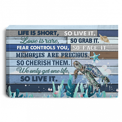 Turtle Life Is Short So Live It Love Is Rare So Grab It Gallery Wrapped Framed Canvas Prints - Unframed Poster, White, 0.75'' Framed Canvas