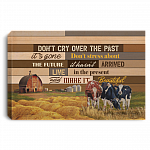 Don't Cry Over The Past It's Gone Don't Stress About The Future Farmhouse Decor Framed Canvas Unframed Poster, White, 0.75'' Framed Canvas