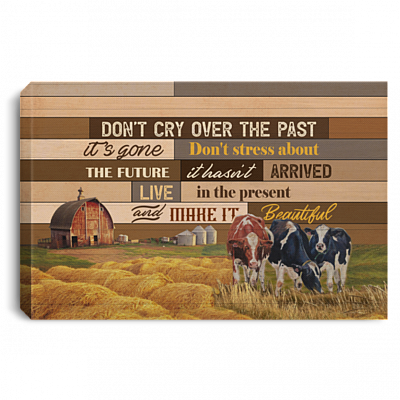Don't Cry Over The Past It's Gone Don't Stress About The Future Farmhouse Decor Framed Canvas Unframed Poster, White, 0.75'' Framed Canvas