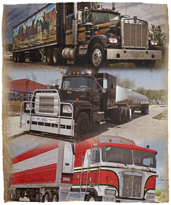 Cozy Plush Fleece Blanket - 50x60