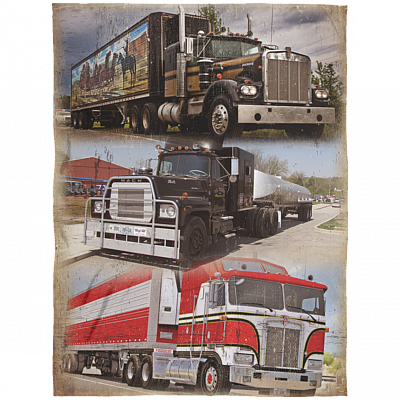 Arctic Fleece Blanket - 60x80