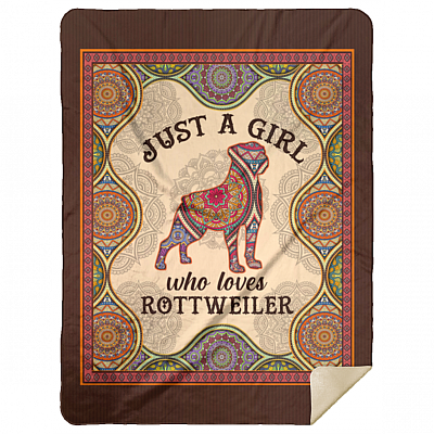 Premium Mink Sherpa Blanket - 60x80