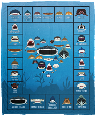 Love Sharks - Sharks Dictionary Collection Fleece Blanket - Premium Sherpa Blanket, White, Cozy Plush Fleece Blanket - 50x60
