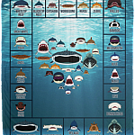 Love Sharks - Sharks Dictionary Collection Week Fleece Blanket - Premium Sherpa Blanket, White, Cozy Plush Fleece Blanket - 50x60 Love Sharks - Sharks Dictionary Collection Week Fleece Blanket - Premium Sherpa Blanket, White, Cozy Plush Fleece Blanket - 50x60