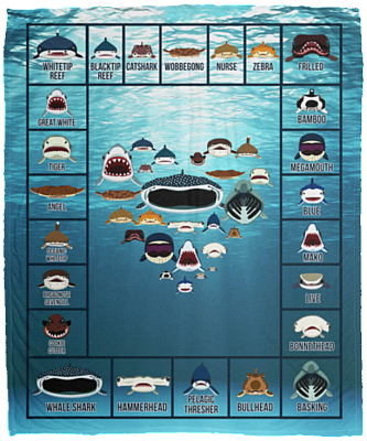 Love Sharks - Sharks Dictionary Collection Week Fleece Blanket - Premium Sherpa Blanket, White, Cozy Plush Fleece Blanket - 50x60